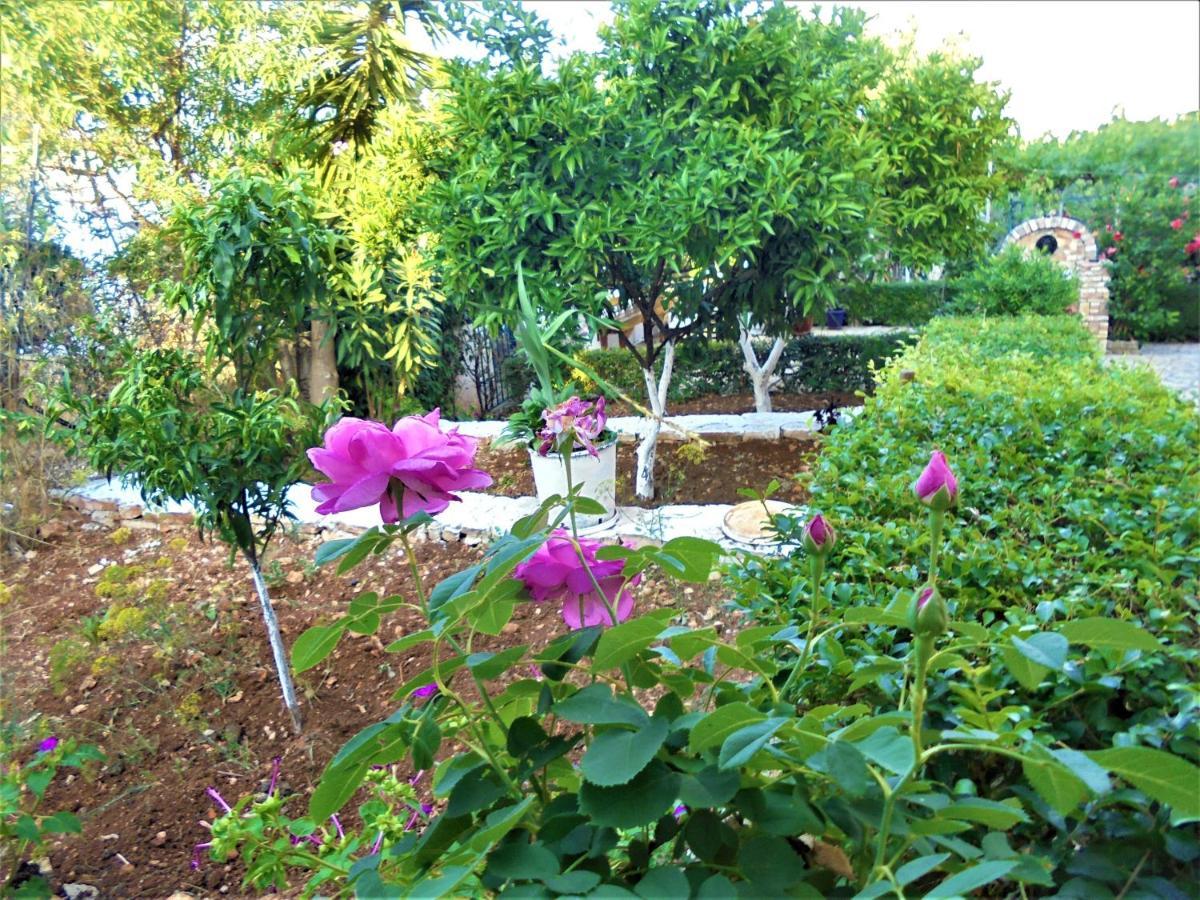 Vila Ori 사밀 외부 사진